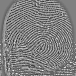Исходное изображение отпечатка пальца